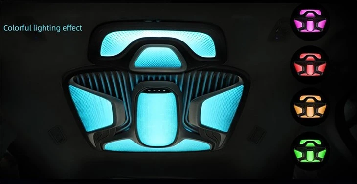 car interior dome light