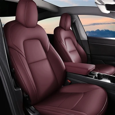 Першим автомобілем молодої людини може бути Tesla